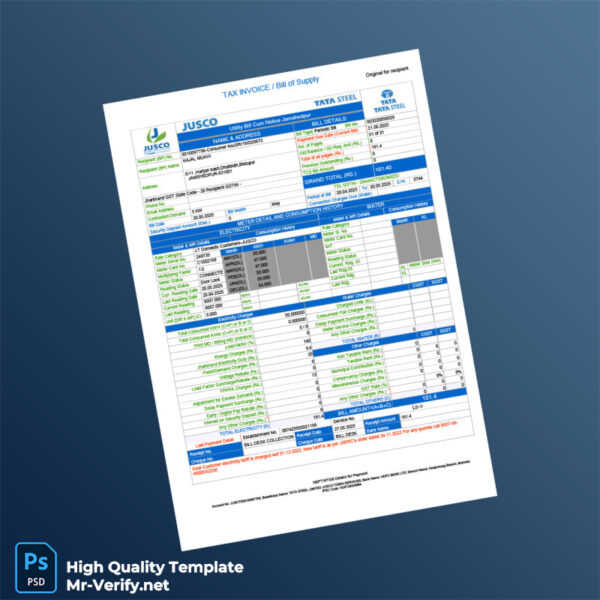 India Tata Steel Editable Electricity Bill Template in Word and PDF formats