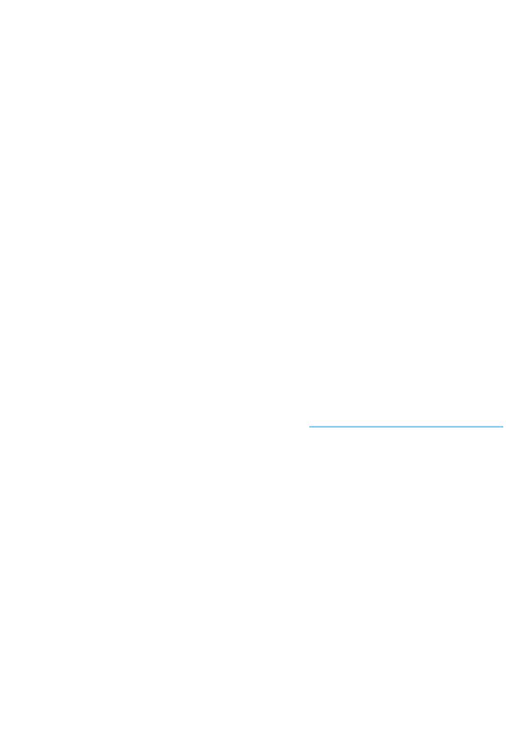 Ireland Bord Gáis Energy Editable Gas Bill Template in Word and PDF formats 2 page