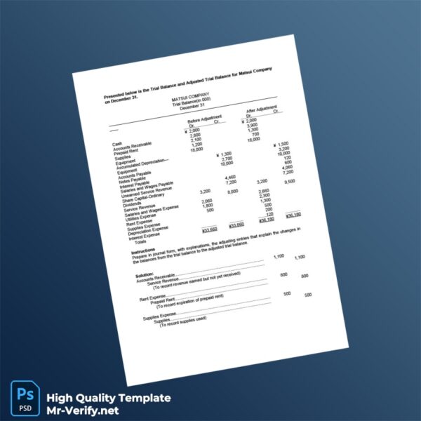 Japan Matsui Company Editable Trial Balance Template in Word and PDF formats 2 page