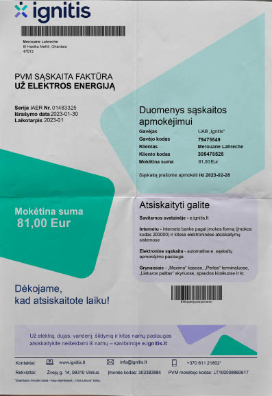 Lithuania Ignitis Editable Electricity Bill Template in Word and PDF formats