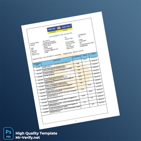 Nepal Indian Bank Statement Template in Word and PDF formats 2 page
