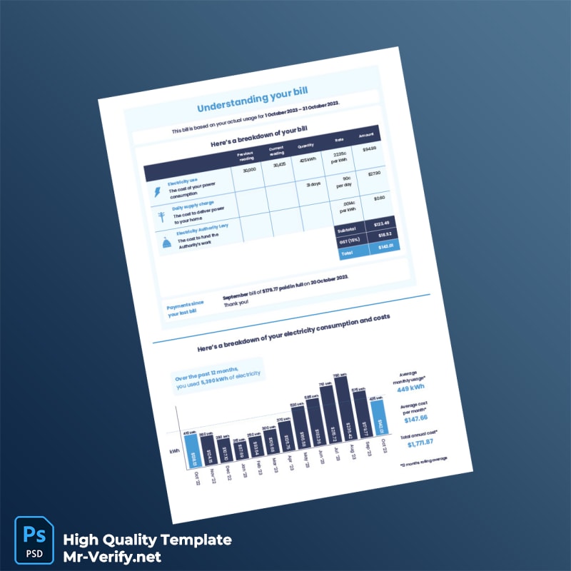 New Zealand Editable Electricity Bill Template in Word and PDF formats 2 page New Zealand Editable Electricity Bill Template in Word and PDF formats 2 page