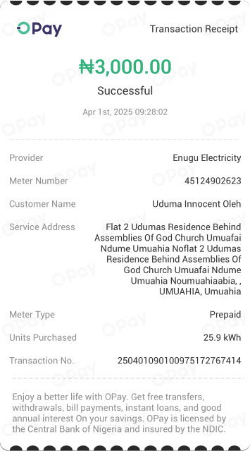 Nigeria OPay Editable Utility Bill Template in Word and PDF formats