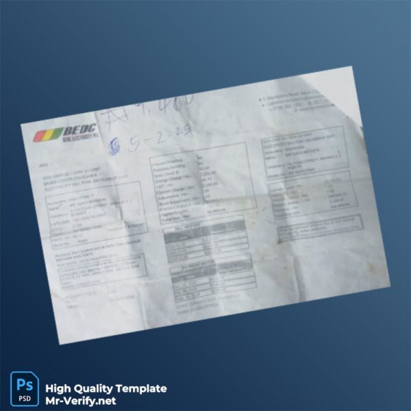 Nigeria Editable Electricity Bill Template in Word and PDF formats