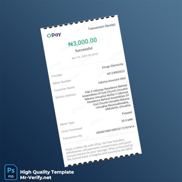 Nigeria Enugu Electricity Editable Utility Bill Template in Word and PDF formats