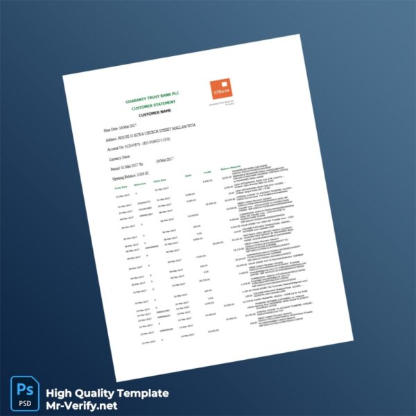 Nigeria GTBank Customer Statement Template in Word and PDF formats 2 page