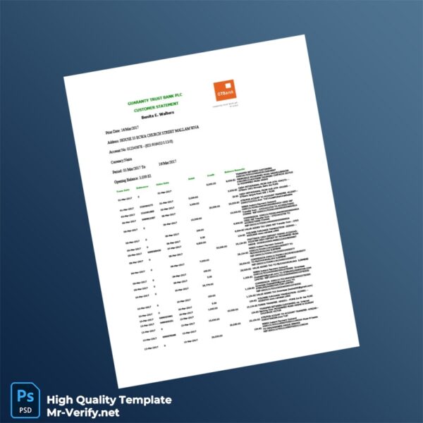 Nigeria Guaranty Trust Bank Bank Statement Template in Word and PDF formats 2 page