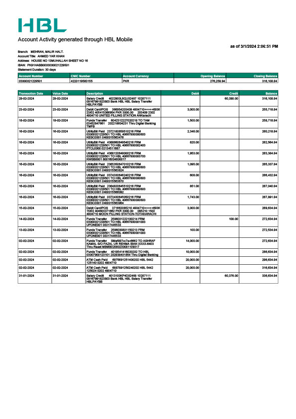 Pakistan Editable Account Statement Template in Word and PDF formats