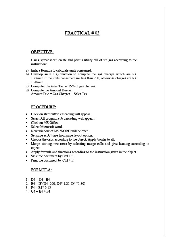 Pakistan Editable Utility Bill Template in Word and PDF formats 2 page