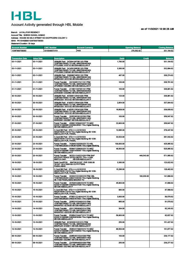 Pakistan HBL Editable Account Activity Template in Word and PDF formats 2 page