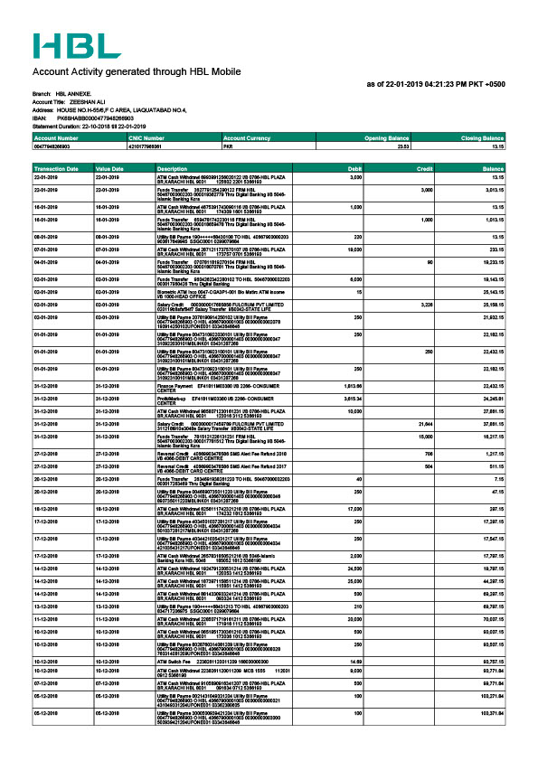Pakistan HBL Editable Account Statement Template in Word and PDF formats 2 page