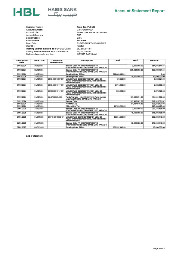 Pakistan HBL Editable EStatement Template in Word and PDF formats