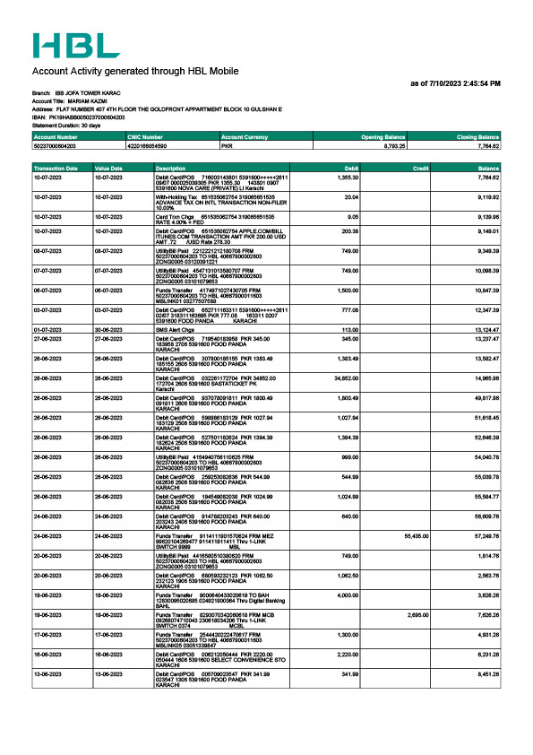 Pakistan HBL Mobile Editable Account Activity Statement Template in Word and PDF formats
