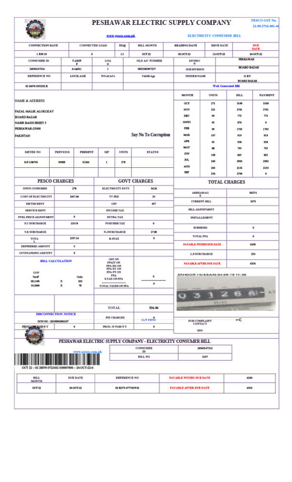 Pakistan Peshawar Electric Supply Company Editable Electricity Bill Template in Word and PDF formats
