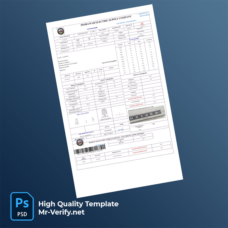 Pakistan Peshawar Electric Supply Company Editable Electricity Bill Template in Word and PDF formats Pakistan Peshawar Electric Supply Company Editable Electricity Bill Template in Word and PDF formats