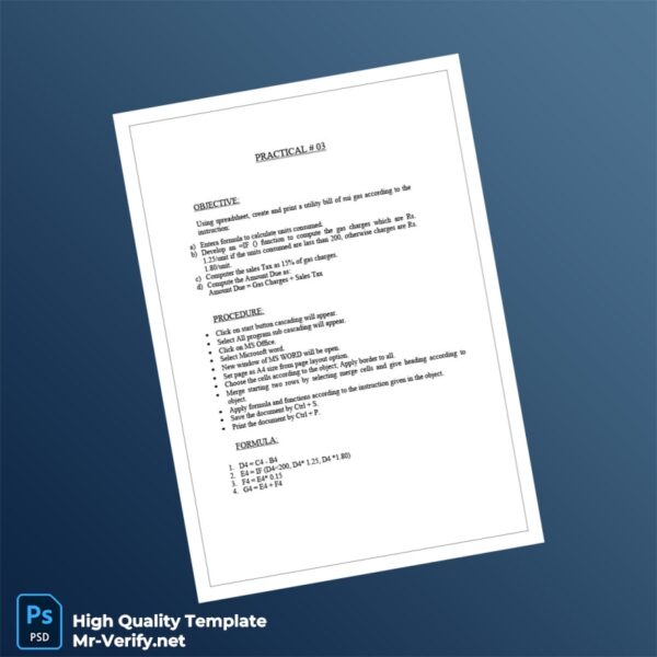 Pakistan Editable Utility Bill Template in Word and PDF formats 2 page