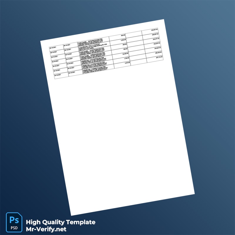 Pakistan HBL Editable Account Activity Template in Word and PDF formats 2 page Pakistan HBL Editable Account Activity Template in Word and PDF formats 2 page