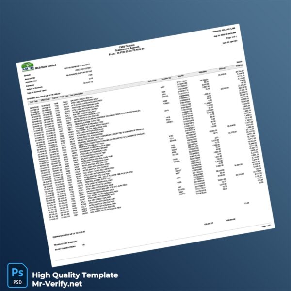 Pakistan MCB Bank Limited Bank Statement Template in Word and PDF formats