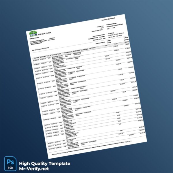 Pakistan MCB Bank Statement Template in Word and PDF formats 3 page