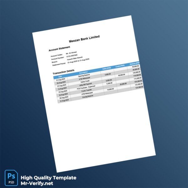 Pakistan Meezan Bank Statement Template in Word and PDF formats
