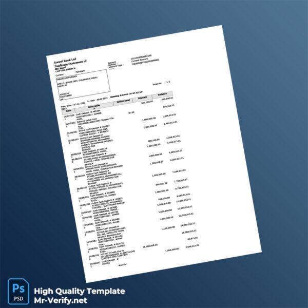 Pakistan Soneri Bank Duplicate Statement of Account Template in Word and PDF formats 3 page