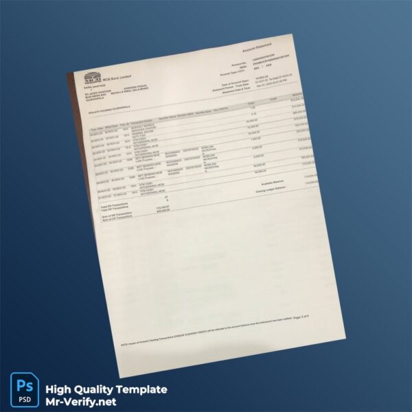 Pakistan Undefined Bank Statement Template in Word and PDF formats 3 page