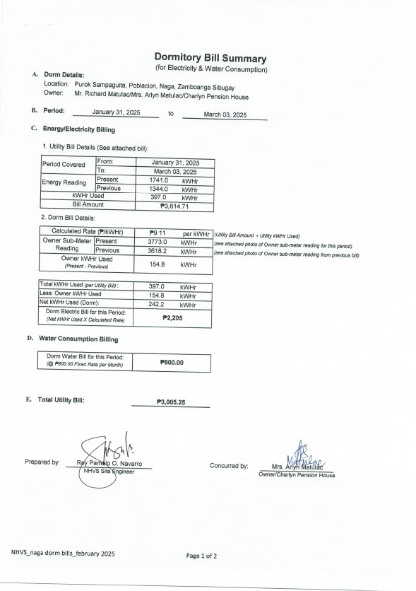 Philippines NHVS_naga Editable Bill Summary Template in Word and PDF formats 2 page