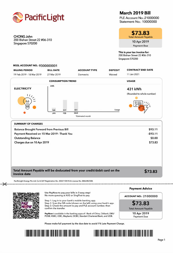 Singapore PacificLight Energy Editable Electricity Bill Template in Word and PDF formats