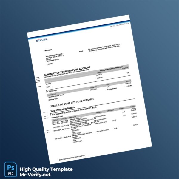 Singapore Citi Bank Statement Template in Word and PDF formats 8 page