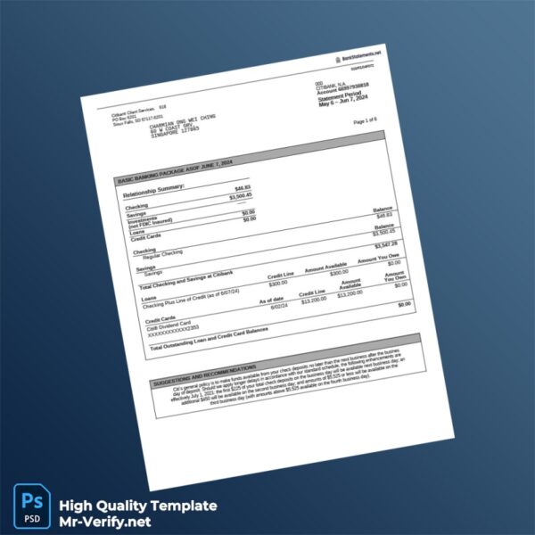 Singapore Citibank Account Statement Template in Word and PDF formats 6 page