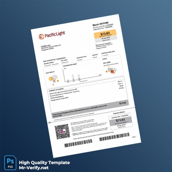 Singapore FactLight Energy Pte Ltd Editable Electricity Bill Template in Word and PDF formats