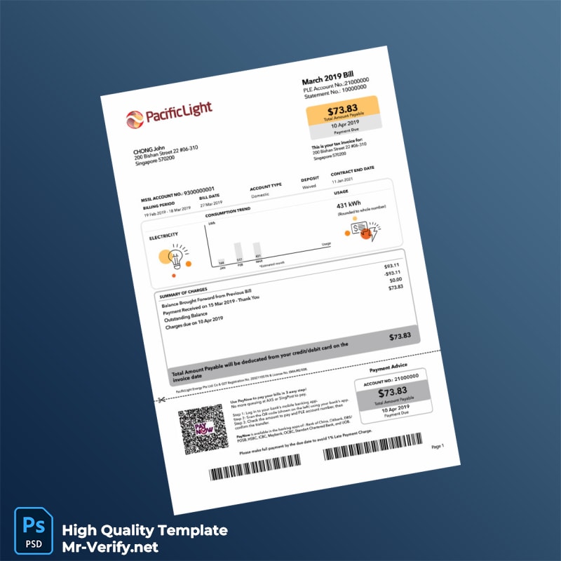 Singapore FactLight Energy Pte Ltd Editable Electricity Bill Template in Word and PDF formats Singapore FactLight Energy Pte Ltd Editable Electricity Bill Template in Word and PDF formats