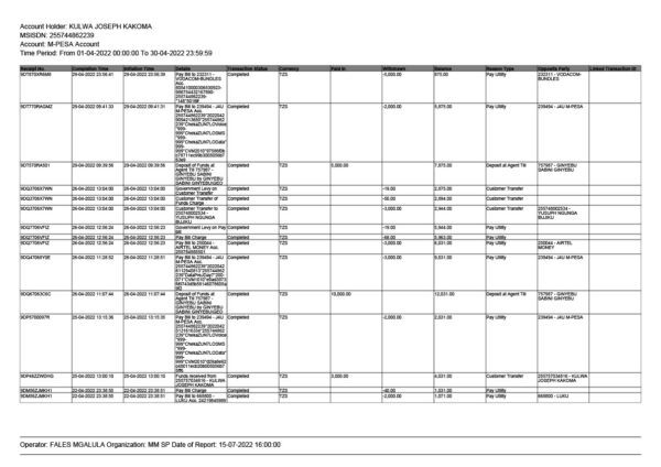 Tanzania Editable M-Pesa Transaction Summary Template in Word and PDF formats 4 page