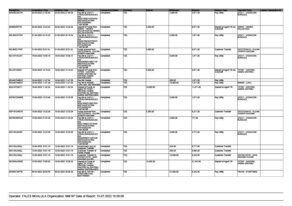 Tanzania Editable M-Pesa Transaction Summary Template in Word and PDF formats 4 page