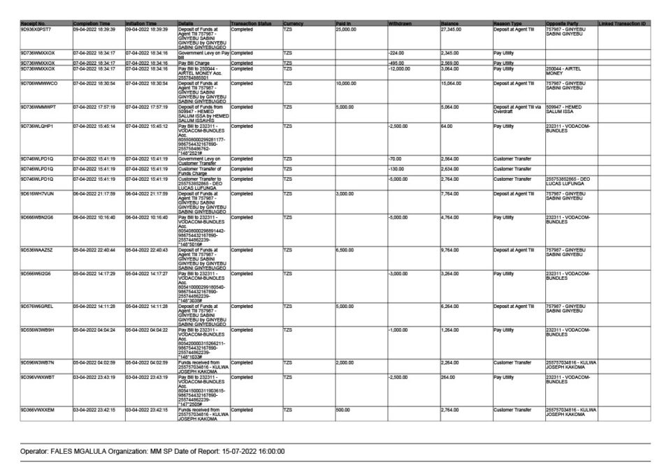 Tanzania Editable M-Pesa Transaction Summary Template in Word and PDF formats 4 page