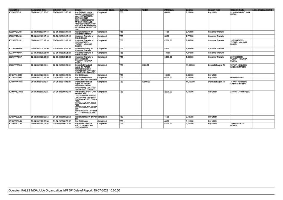 Tanzania Editable M-Pesa Transaction Summary Template in Word and PDF formats 4 page