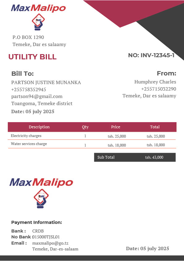Tanzania Max Malipo Editable Utility Bill Template in Word and PDF formats
