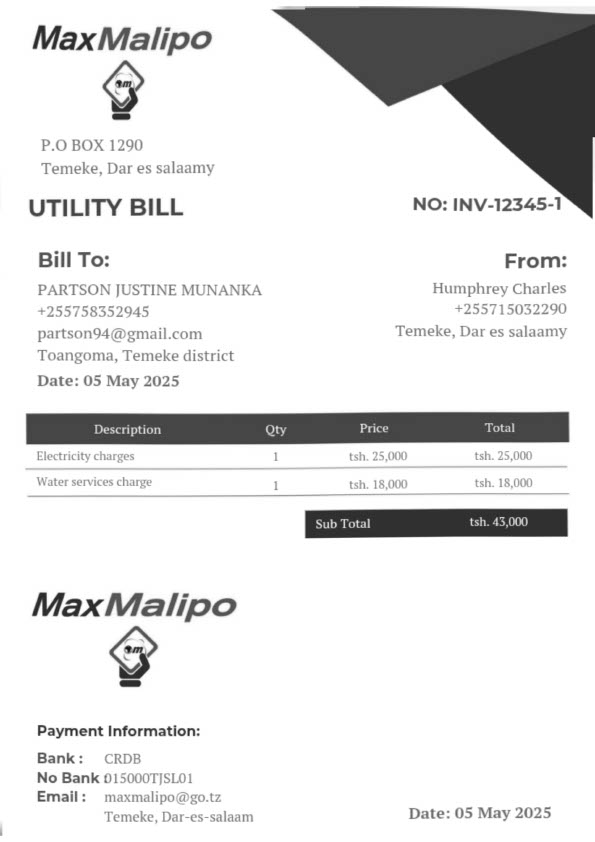 Tanzania MaxMalipo Editable Utility Bill Template in Word and PDF formats