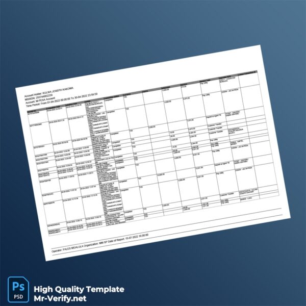 Tanzania Editable Transaction Summary Template in Word and PDF formats 4 page