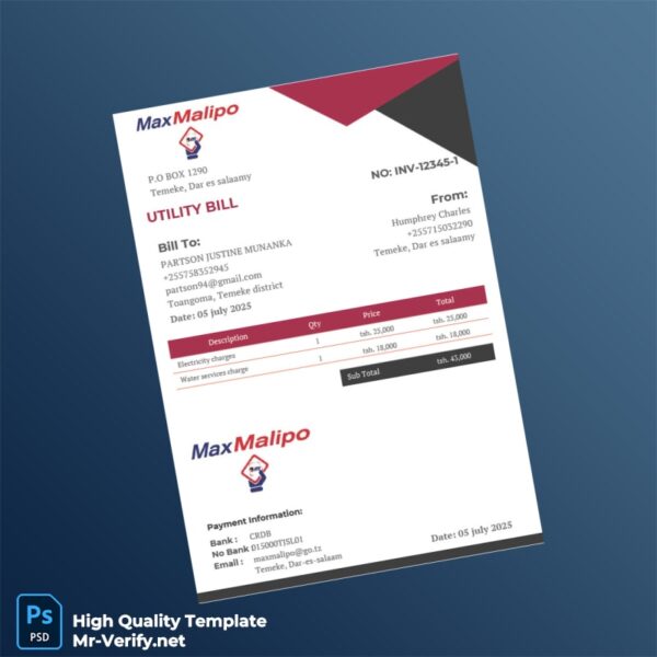 Tanzania MaxMalipo Editable Utility Bill Template in Word and PDF formats