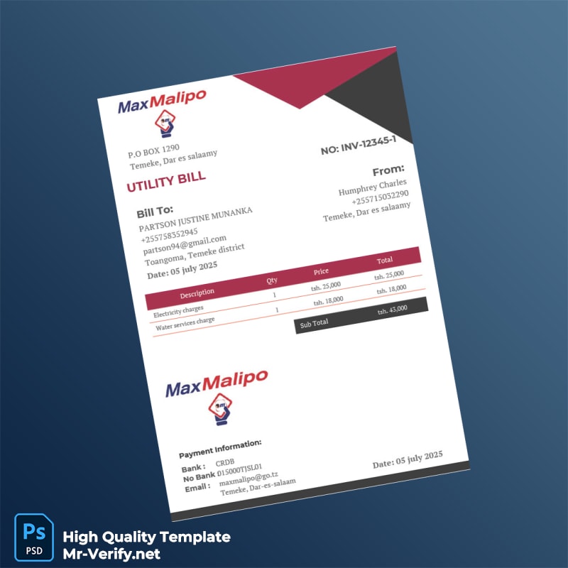 Tanzania MaxMalipo Editable Utility Bill Template in Word and PDF formats Tanzania MaxMalipo Editable Utility Bill Template in Word and PDF formats