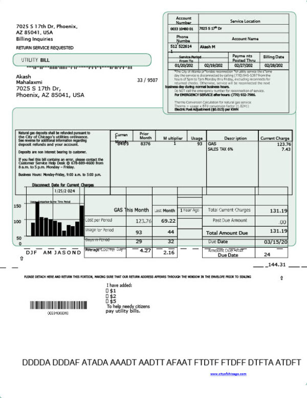 USA Akash Editable Utility Bill Template in Word and PDF formats 2 page