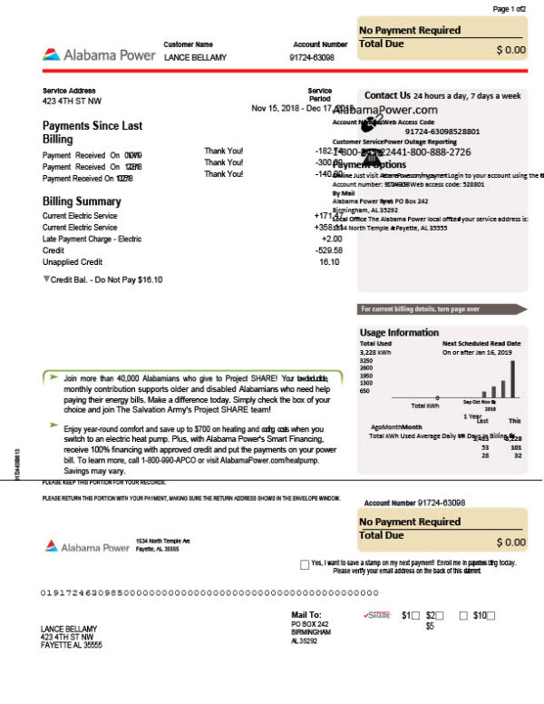 USA Alabama Power Editable Utility Bill Template in Word and PDF formats 4 page