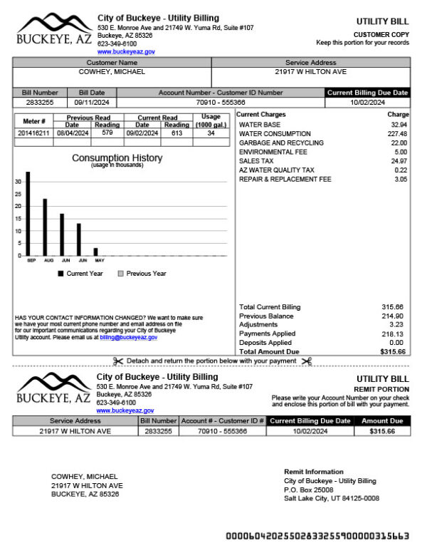 USA City of Buckeye Editable Utility Bill Template in Word and PDF formats