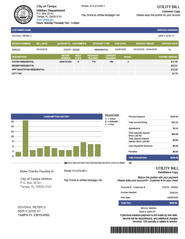 USA City of Tampa Editable Water Bill Template in Word and PDF formats