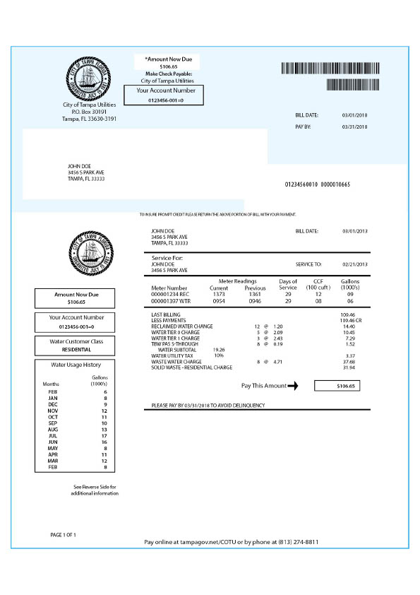 USA City of Tampa Utilities Editable Water Bill Template in Word and PDF formats