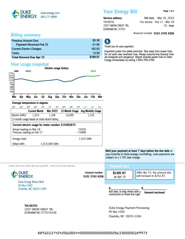 USA Duke Energy Editable Electric Bill Template in Word and PDF formats 3 page