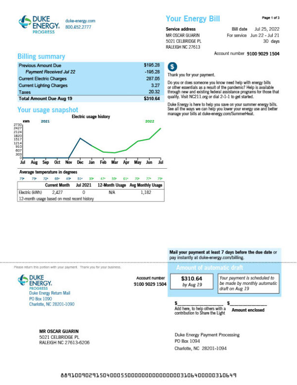USA Duke Energy Editable Electricity Bill Template in Word and PDF formats 3 page