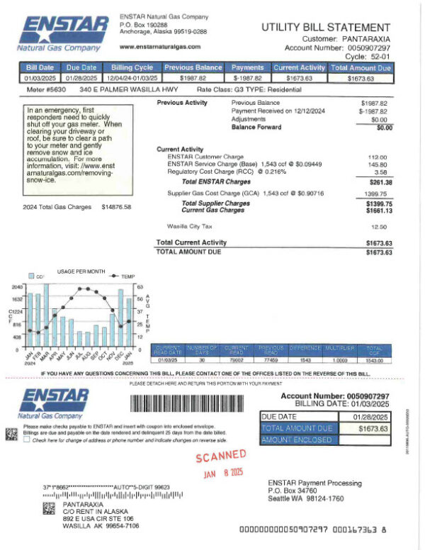 USA Enstar Editable Gas Bill Template in Word and PDF formats