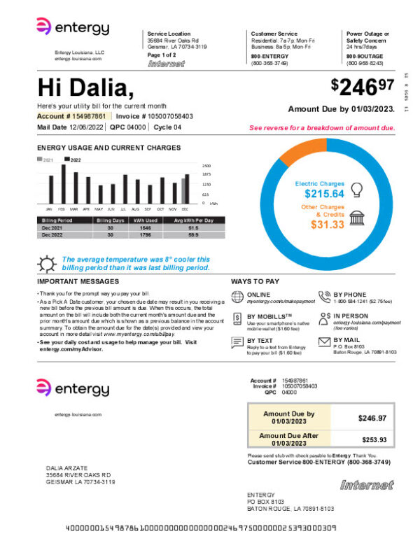 USA Entergy Editable Electricity Bill Template in Word and PDF formats 4 page